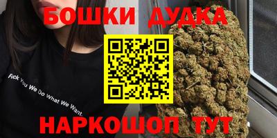 PSILOCYBIN Кандалакша
