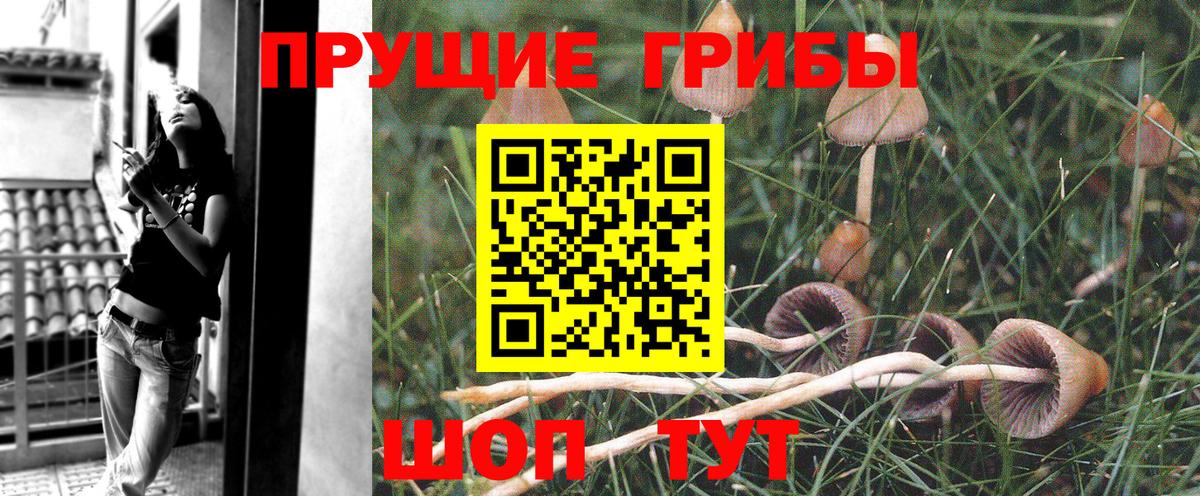 Галлюциногенные грибы GOLDEN TEACHER Керчь